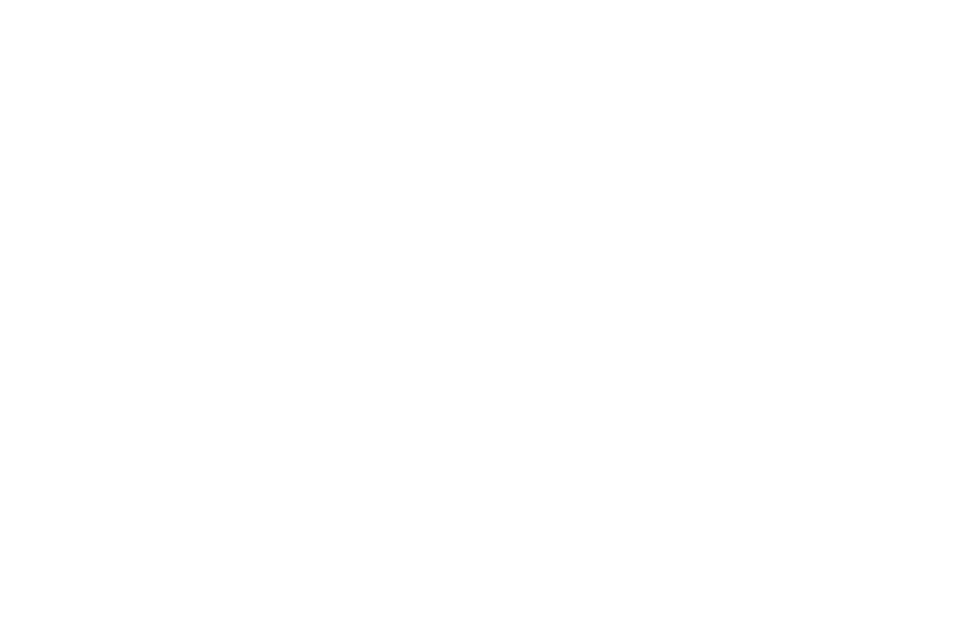 TrueStory_Logo_Horizontal_Whiskey_White